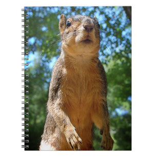 Upright Squirrel Spiral Notebook