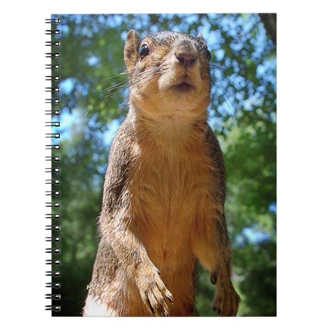Upright Squirrel Spiral Notebook (Front)