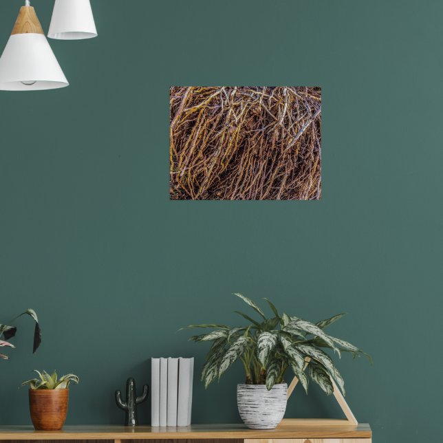 Uprooted 2 Print, Poster Paper (Semi-Gloss) (Living Room 1)