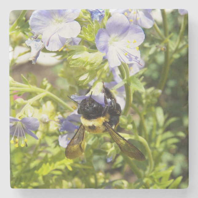 Upside Down Bumble Bee Stone Coaster (Front)