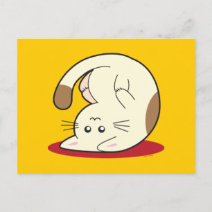 Upside Down Cat Postcard