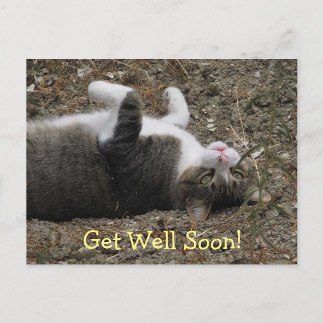 Upside Down Kitty Get Well Postcard (Front)