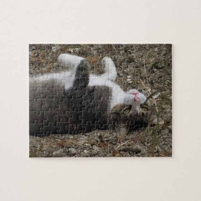 Upside Down Kitty Puzzle (Horizontal)