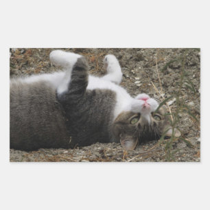 Upside Down Kitty Rectangle Stickers