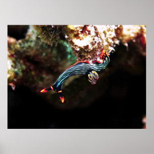 Upside Down Nudi Poster