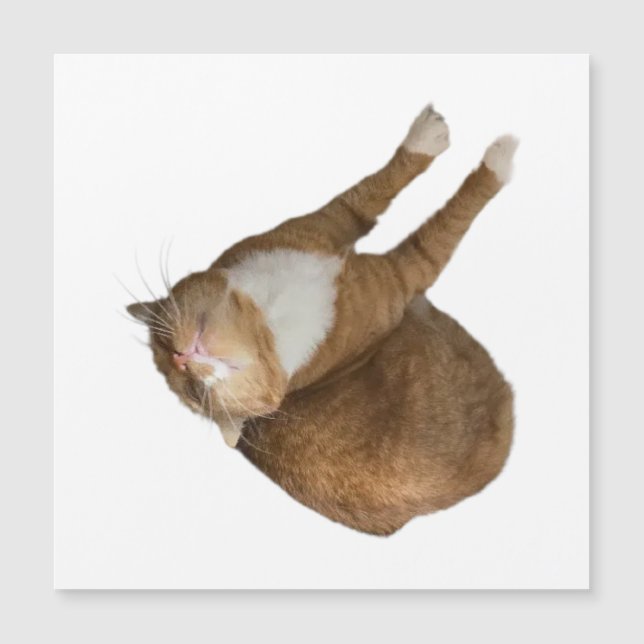 Upside-Down Sunshine (Front)