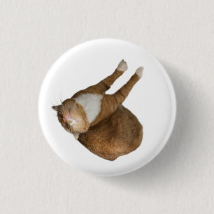 Upside-Down Sunshine Cat 3 Cm Round Badge