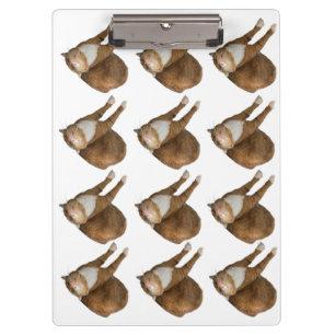 Upside-Down Sunshine Cat Clipboard