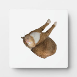 Upside-Down Sunshine Cat Plaque