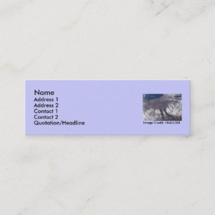 Upstate New York Fingerlakes Mini Business Card