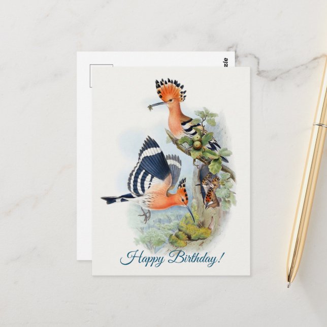 Upupa Epops  Postcard (Front/Back In Situ)