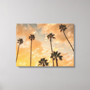 Upward View of Palms Canvas Print