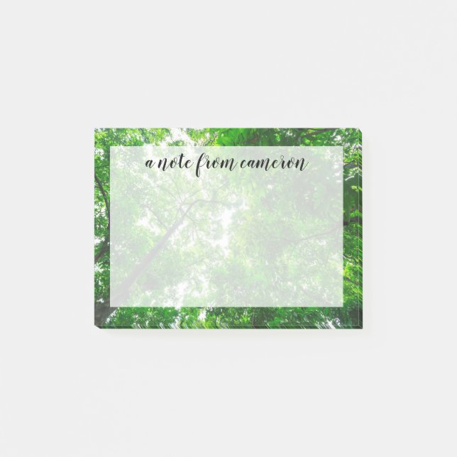 Upward View of Trees Post-it Notes (Front)