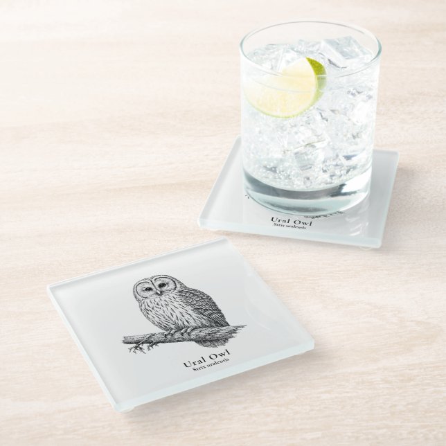 Ural Owl Glass Coaster (Angled)