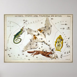Urania's Mirror - Lacerta, Cygnus, Lyra, Vulpecula Poster