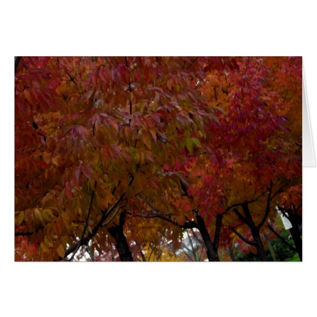 Urban Autumn (Front Horizontal)