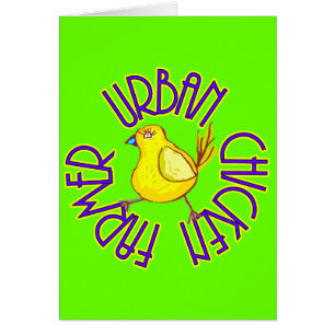 Urban Chicken Farmer