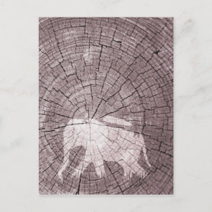 Urban Elephant Postcard