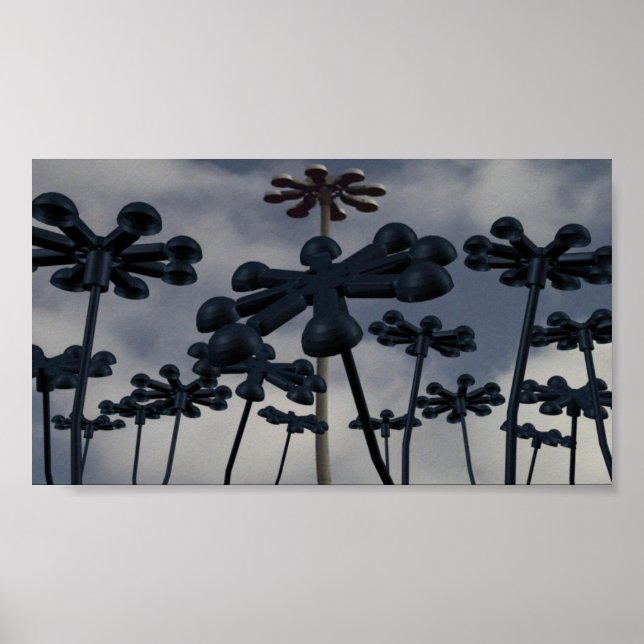 Urban Flowers Poster (Front)