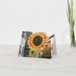 Urban Gardens Notecard