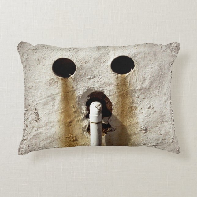 Urban Grunge Exposed Water Pipe  Decorative Cushion (Front)