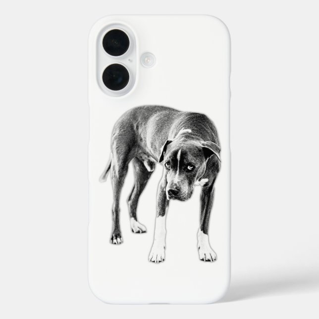  Urban Ink Dog—Pitbull Mix Gaze Case-Mate iPhone Case (Back)