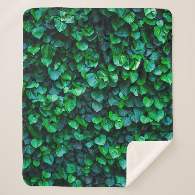 Urban jungle indoor gardening sherpa blanket (Front)