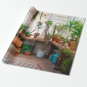 Urban jungle. Winter garden with plants, flowers. Wrapping Paper