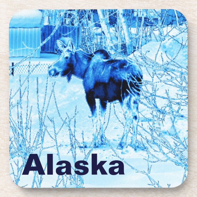 Urban Moose Coaster (Front)