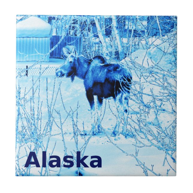 Urban Moose Tile (Front)