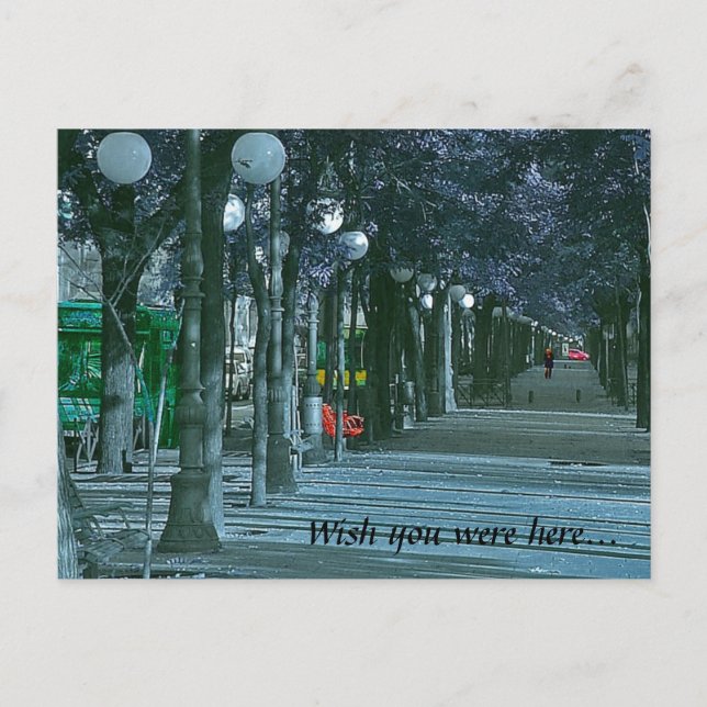 Urban Solitude Postcard (Front)