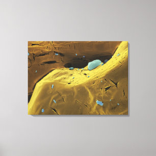 Urea powder canvas print