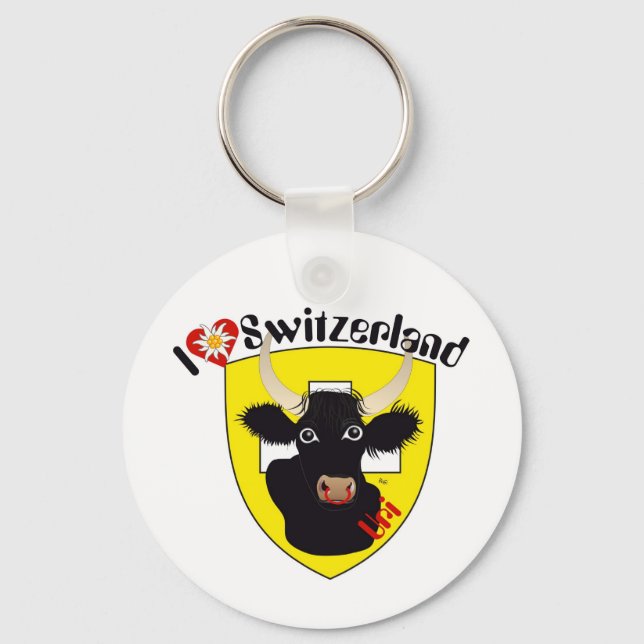 Uri Schweiz Suisse Svizzera Schlüsselanhänger Key Ring (Front)