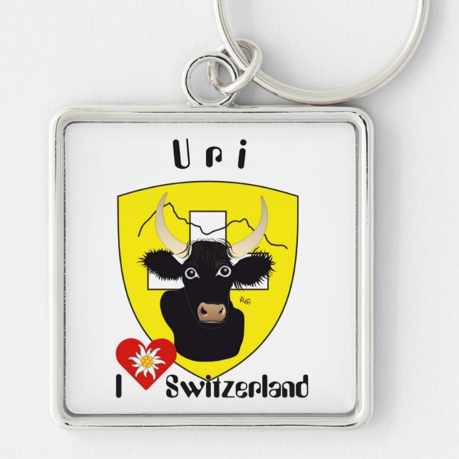 Uri -Schweiz - Suisse - Svizzera Schlüsselanhänger Key Ring (Front)