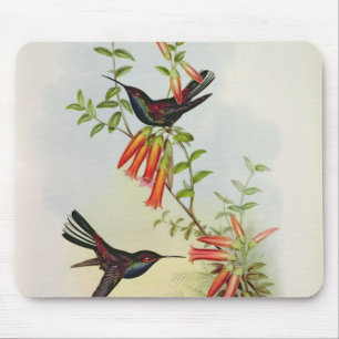 Urochroa Bougieri Mouse Pad