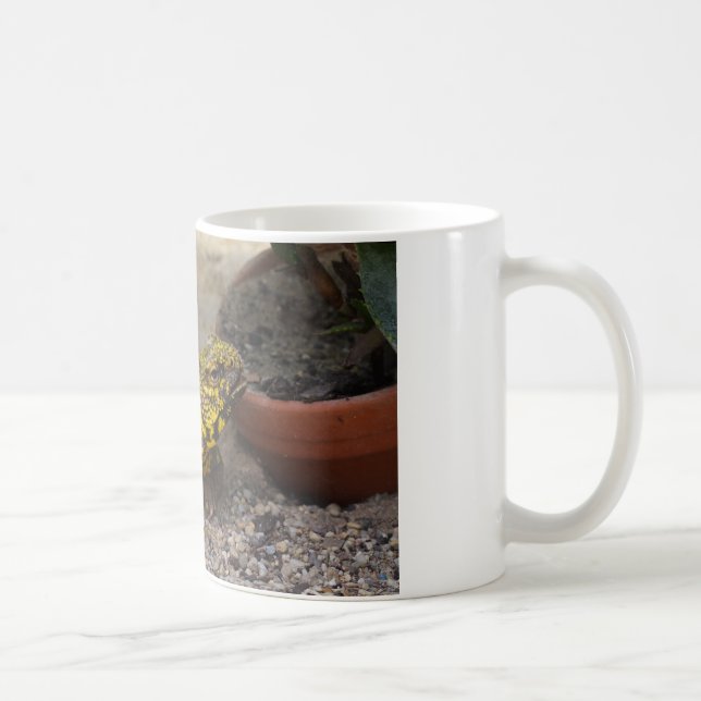 Uromastyx geyri coffee mug (Right)