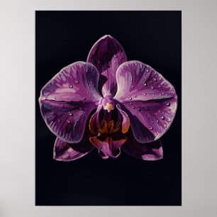 urple Phalaenopsis Orchid Fine Art Print, Dark Poster