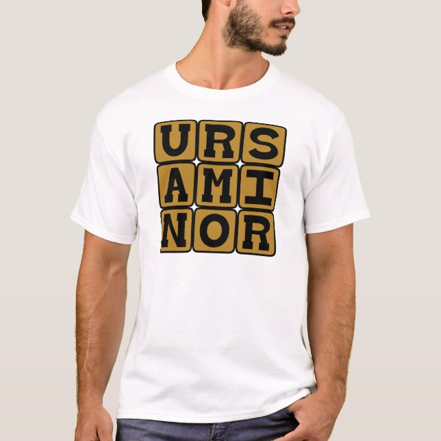 Ursa Minor, Smaller Bear Constellation T-Shirt (Front)