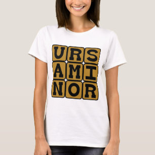 Ursa Minor, Smaller Bear Constellation T-Shirt