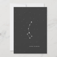 Ursa Minor, 'The Little Bear' Constellation