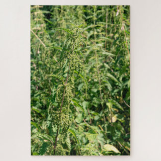 Urtica dioica,  jigsaw puzzle