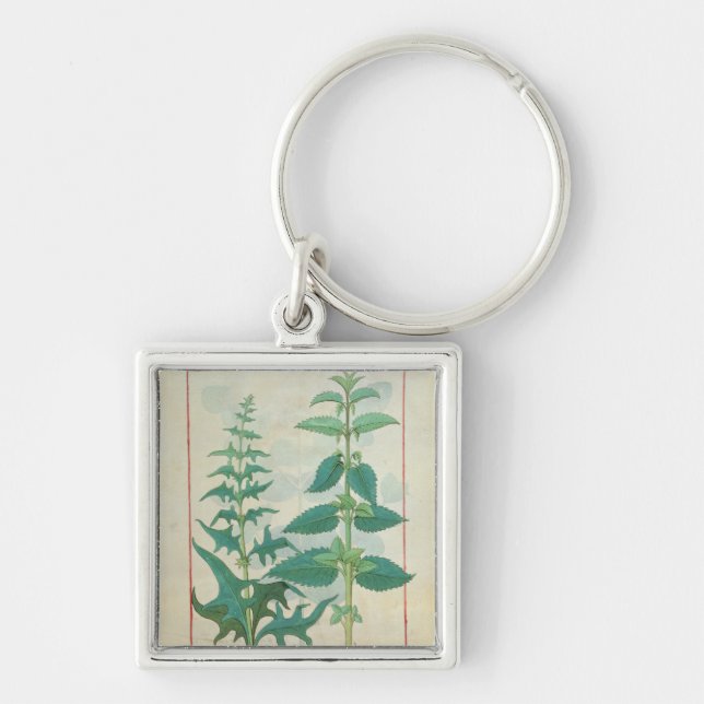Urticaceae Key Ring (Front)