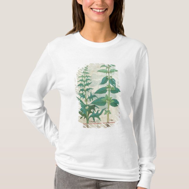 Urticaceae T-Shirt (Front)