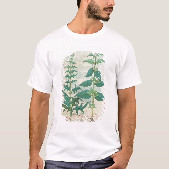 Urticaceae T-Shirt (Front)