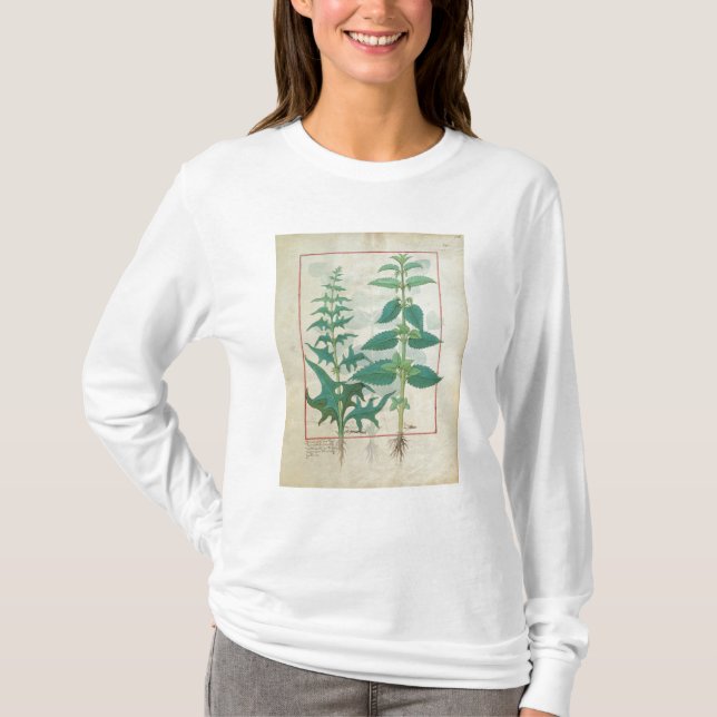 Urticaceae T-Shirt (Front)