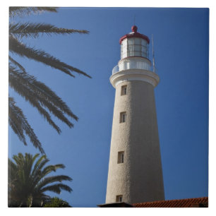 Uruguay, Maldonado Department, Punta del Este. Tile