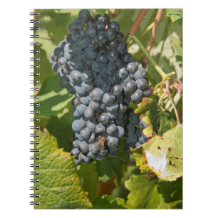 Uruguay, Montevideo, Colon Area. Bodegas Spiral Notebook