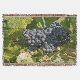 Uruguay, Montevideo, Colon Area. Bodegas Throw Blanket