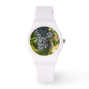 Uruguay, Montevideo, Colon Area. Bodegas Watch