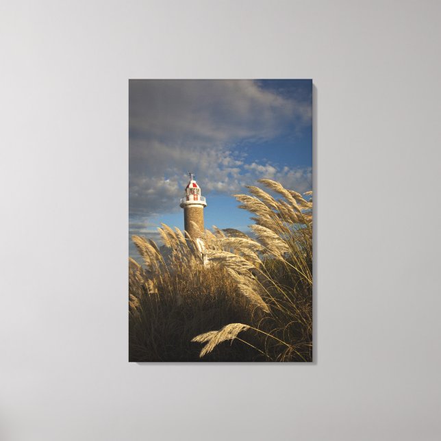 Uruguay, Montevideo Department, Montevideo. 2 Canvas Print (Front)